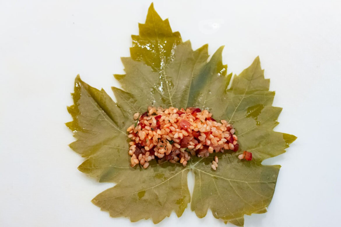 Gefüllte Weinblätter: ein Klassiker mediterraner Küche
